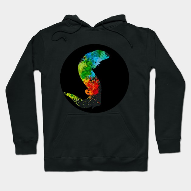 color splash 2 Hoodie by Luilouu